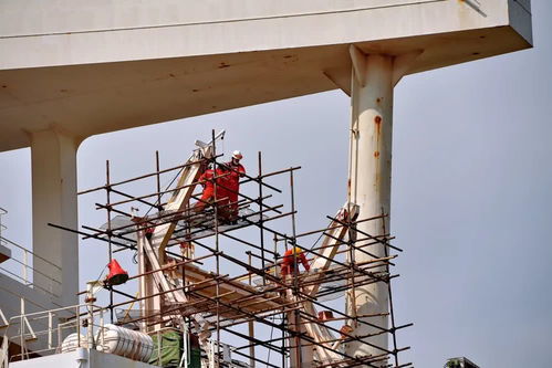 政企联动抓复工 福建华东船厂修船业逆势上扬